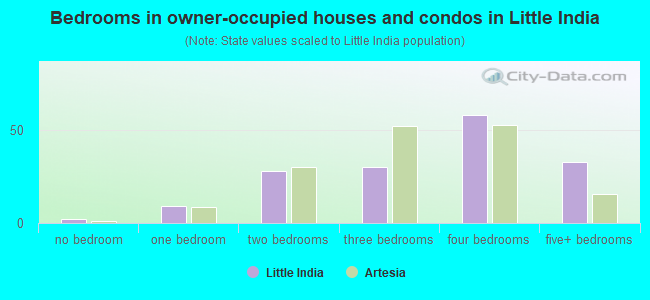 Bedrooms in owner-occupied houses and condos in Little India
