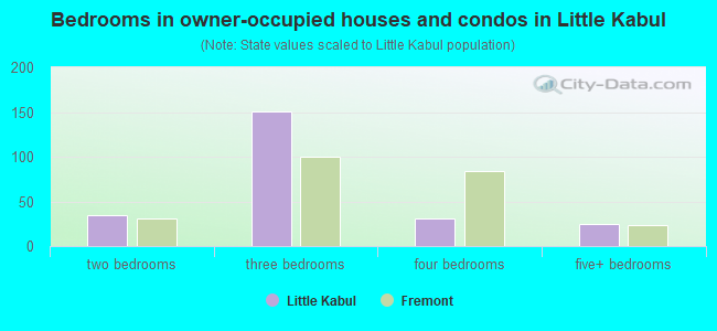Bedrooms in owner-occupied houses and condos in Little Kabul
