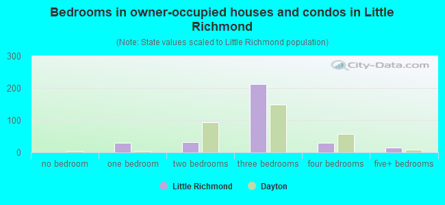 Bedrooms in owner-occupied houses and condos in Little Richmond
