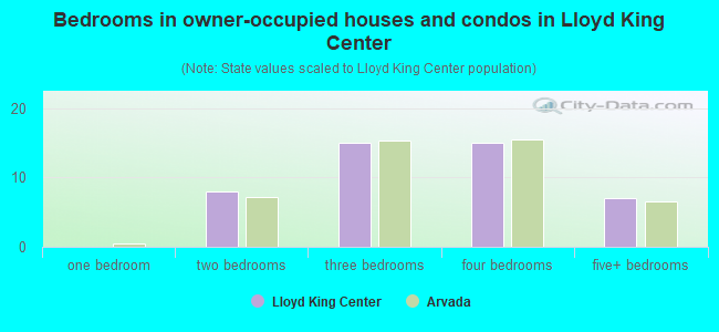 Bedrooms in owner-occupied houses and condos in Lloyd King Center