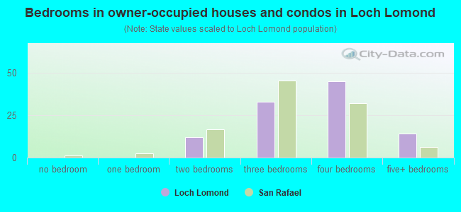 Bedrooms in owner-occupied houses and condos in Loch Lomond