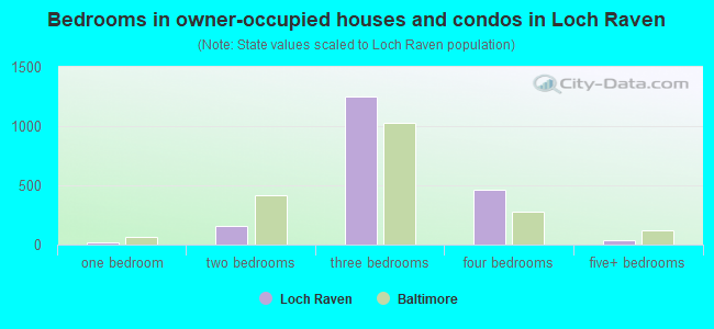 Bedrooms in owner-occupied houses and condos in Loch Raven
