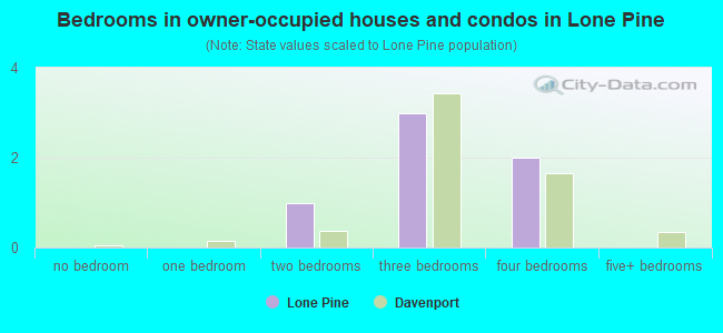 Bedrooms in owner-occupied houses and condos in Lone Pine
