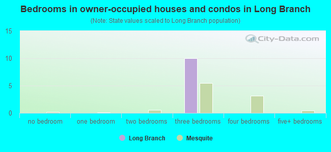 Bedrooms in owner-occupied houses and condos in Long Branch