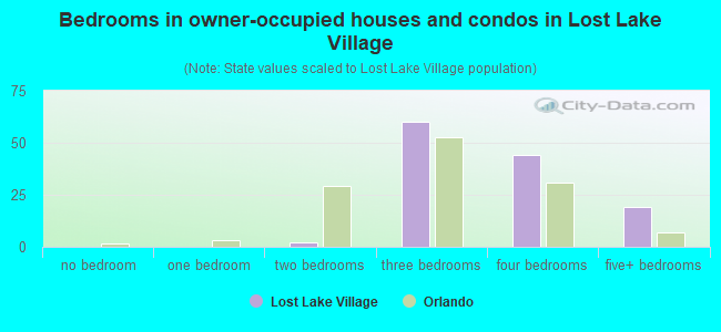 Bedrooms in owner-occupied houses and condos in Lost Lake Village