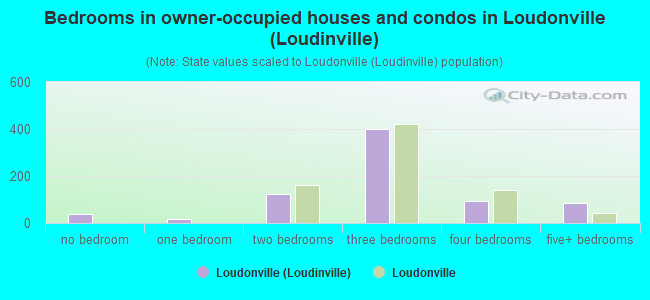Bedrooms in owner-occupied houses and condos in Loudonville (Loudinville)