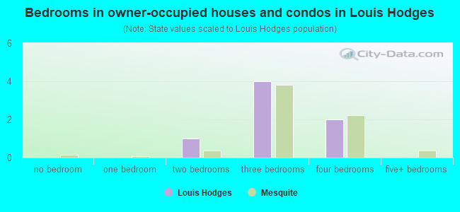 Bedrooms in owner-occupied houses and condos in Louis Hodges