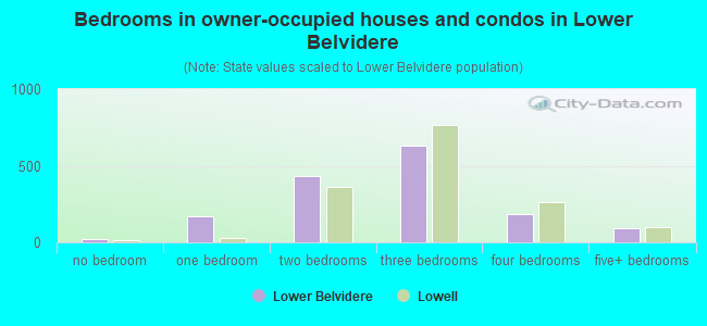 Bedrooms in owner-occupied houses and condos in Lower Belvidere