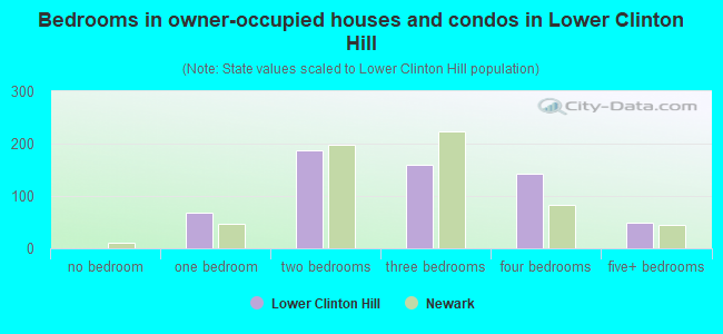 Bedrooms in owner-occupied houses and condos in Lower Clinton Hill