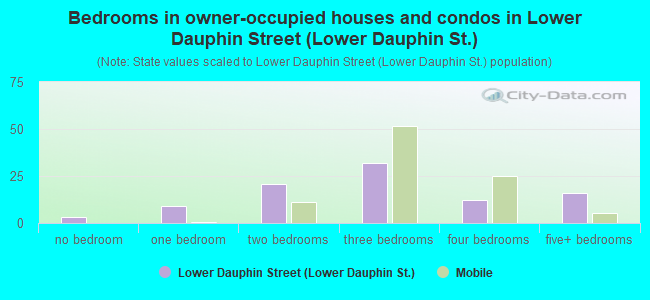 Bedrooms in owner-occupied houses and condos in Lower Dauphin Street (Lower Dauphin St.)