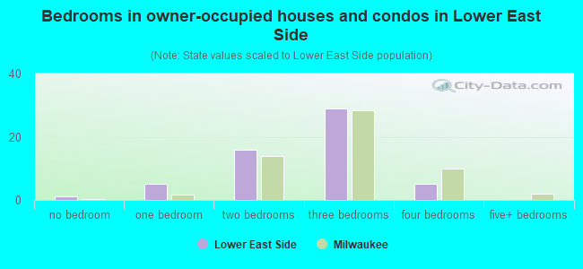 Bedrooms in owner-occupied houses and condos in Lower East Side