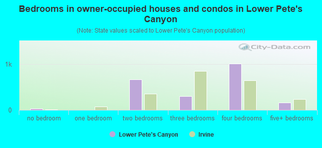 Bedrooms in owner-occupied houses and condos in Lower Pete's Canyon