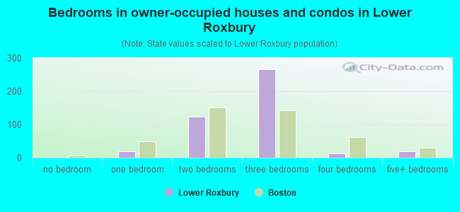 Bedrooms in owner-occupied houses and condos in Lower Roxbury