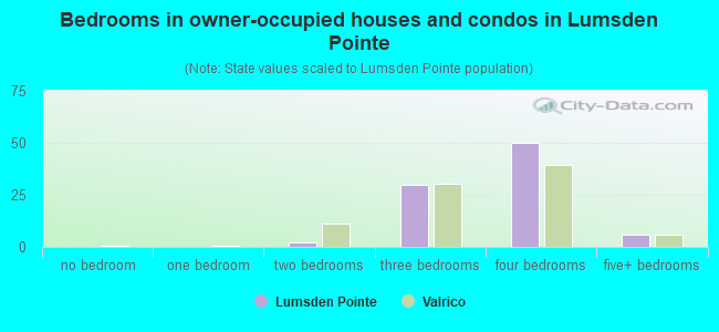 Bedrooms in owner-occupied houses and condos in Lumsden Pointe