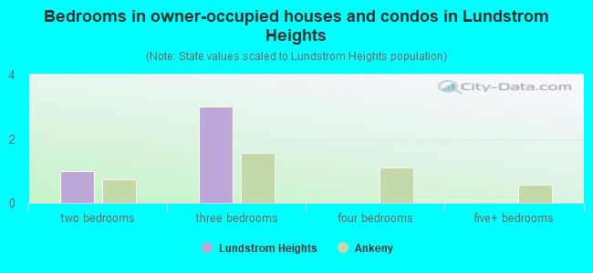 Bedrooms in owner-occupied houses and condos in Lundstrom Heights