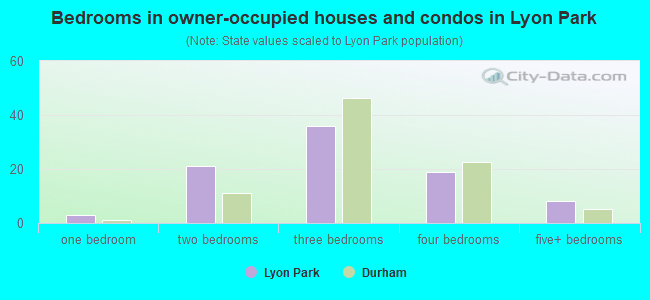 Bedrooms in owner-occupied houses and condos in Lyon Park