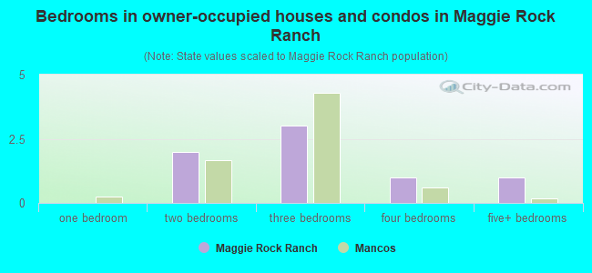 Bedrooms in owner-occupied houses and condos in Maggie Rock Ranch