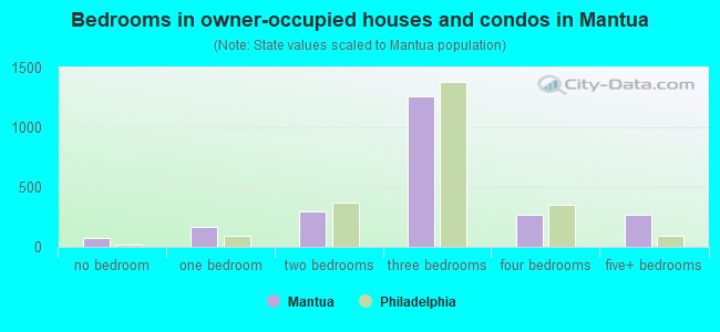 Bedrooms in owner-occupied houses and condos in Mantua