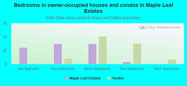 Bedrooms in owner-occupied houses and condos in Maple Leaf Estates