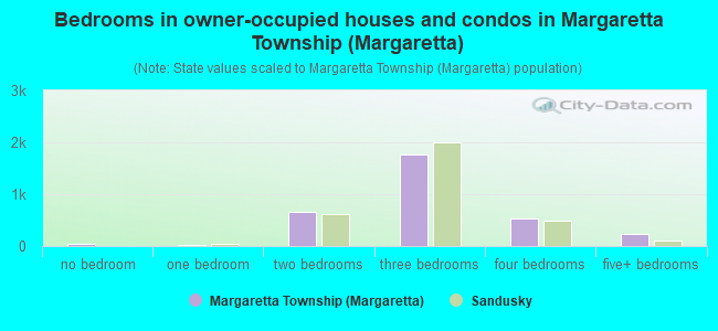 Bedrooms in owner-occupied houses and condos in Margaretta Township (Margaretta)