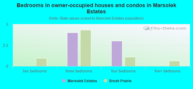 Bedrooms in owner-occupied houses and condos in Marsolek Estates