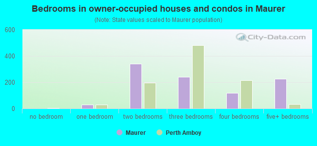 Bedrooms in owner-occupied houses and condos in Maurer