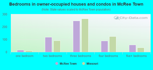 Bedrooms in owner-occupied houses and condos in McRee Town