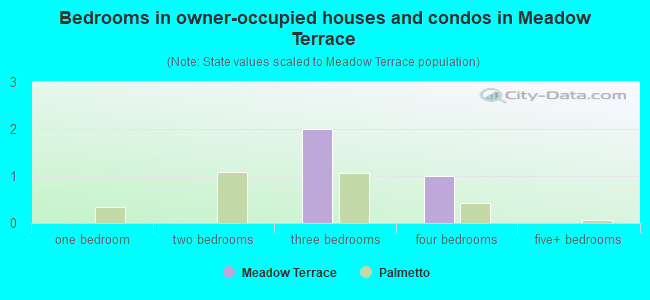 Bedrooms in owner-occupied houses and condos in Meadow Terrace