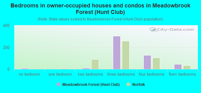 Bedrooms in owner-occupied houses and condos in Meadowbrook Forest (Hunt Club)