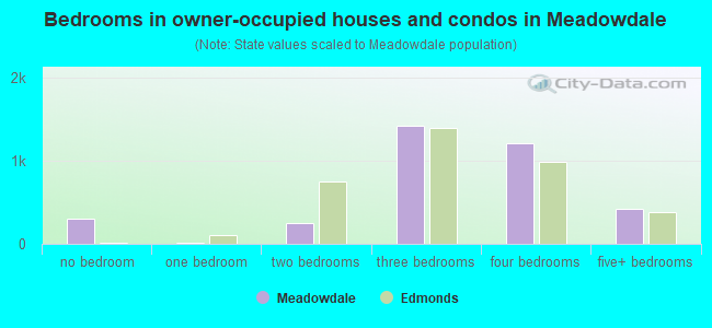 Bedrooms in owner-occupied houses and condos in Meadowdale