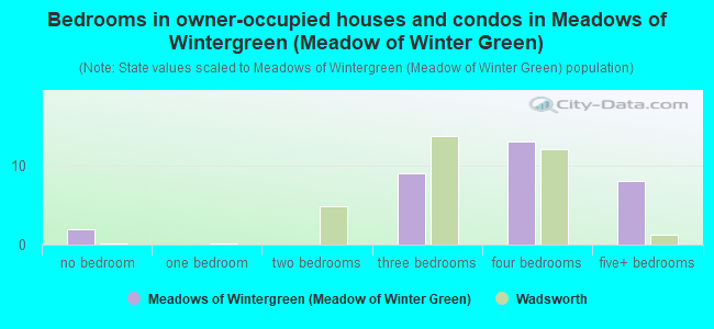 Bedrooms in owner-occupied houses and condos in Meadows of Wintergreen (Meadow of Winter Green)