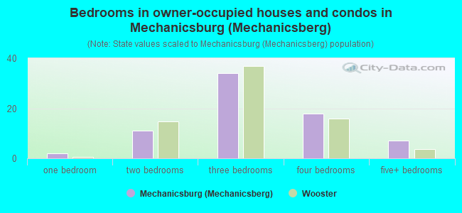 Bedrooms in owner-occupied houses and condos in Mechanicsburg (Mechanicsberg)