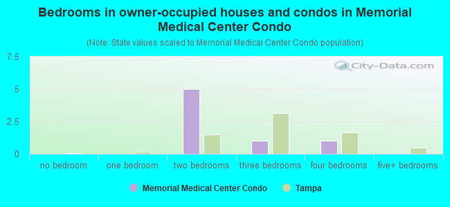 Bedrooms in owner-occupied houses and condos in Memorial Medical Center Condo