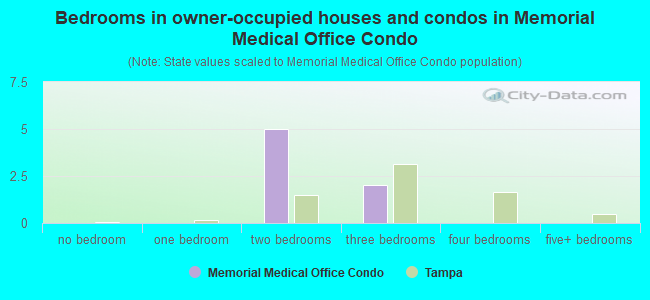 Bedrooms in owner-occupied houses and condos in Memorial Medical Office Condo