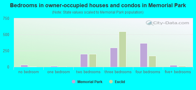 Bedrooms in owner-occupied houses and condos in Memorial Park