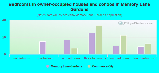 Bedrooms in owner-occupied houses and condos in Memory Lane Gardens