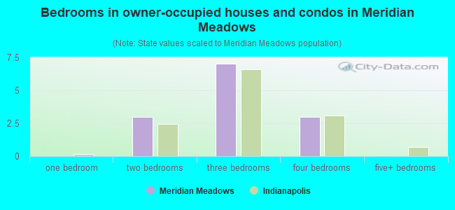 Bedrooms in owner-occupied houses and condos in Meridian Meadows