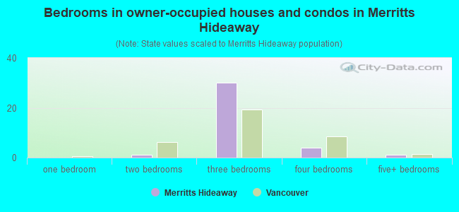 Bedrooms in owner-occupied houses and condos in Merritts Hideaway