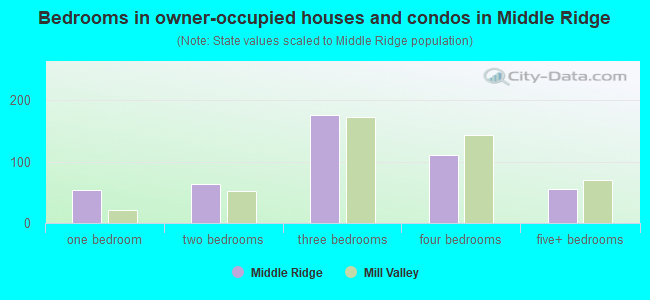 Bedrooms in owner-occupied houses and condos in Middle Ridge