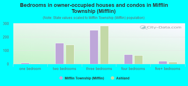 Bedrooms in owner-occupied houses and condos in Mifflin Township (Mifflin)