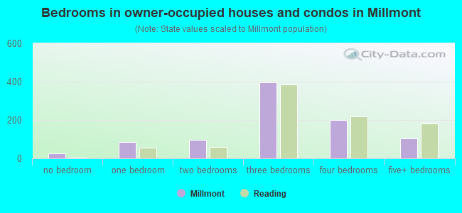 Bedrooms in owner-occupied houses and condos in Millmont