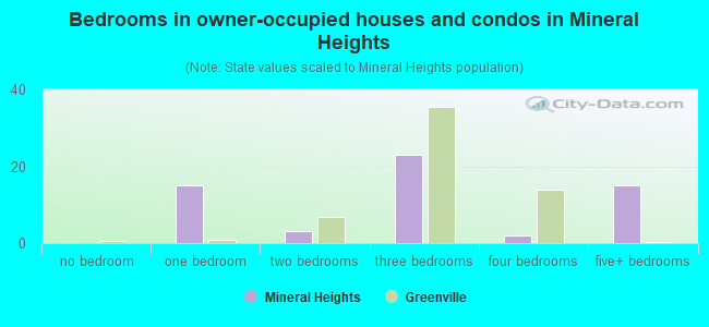 Bedrooms in owner-occupied houses and condos in Mineral Heights