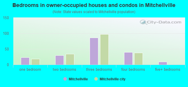 Bedrooms in owner-occupied houses and condos in Mitchellville