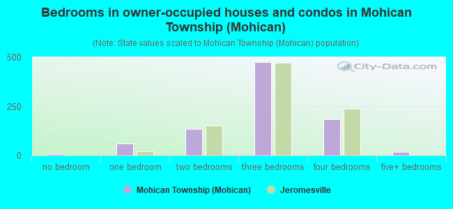 Bedrooms in owner-occupied houses and condos in Mohican Township (Mohican)
