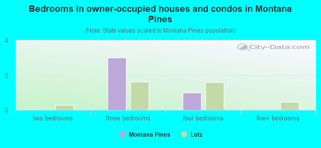 Bedrooms in owner-occupied houses and condos in Montana Pines