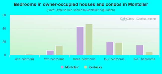 Bedrooms in owner-occupied houses and condos in Montclair
