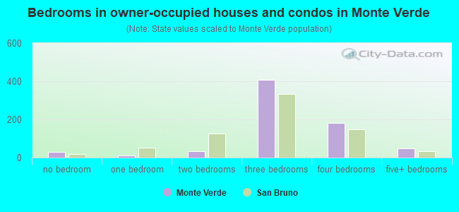 Bedrooms in owner-occupied houses and condos in Monte Verde
