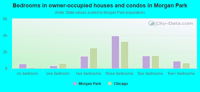Bedrooms in owner-occupied houses and condos in Morgan Park