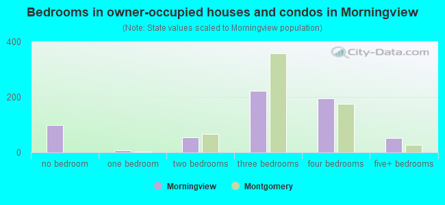 Bedrooms in owner-occupied houses and condos in Morningview