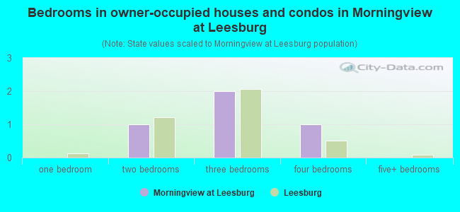 Bedrooms in owner-occupied houses and condos in Morningview at Leesburg
